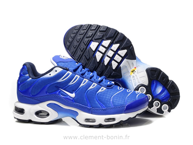 boutique tn requin